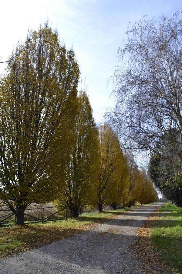 Agriturismo Fiamberta Certosa di Pavia